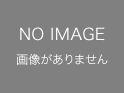 コシナ テレ・テッサーT* 85/4 ZM シルバー コシナ テレ・テッサーT* 85/4 ZM シルバー